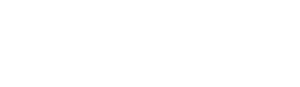 Noisy Ghost Co.