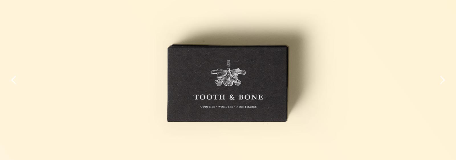 Tooth & Bone brand design by Noisy Ghost Co.